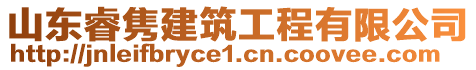 山東睿雋建筑工程有限公司