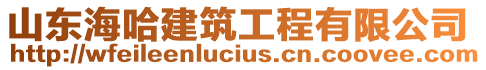 山東海哈建筑工程有限公司