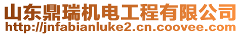 山東鼎瑞機電工程有限公司