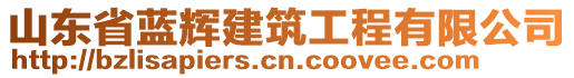 山東省藍輝建筑工程有限公司