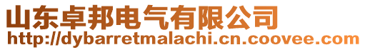 山東卓邦電氣有限公司