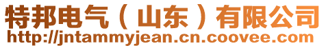 特邦電氣(山東)有限公司