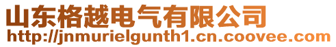山東格越電氣有限公司