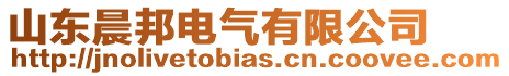 山東晨邦電氣有限公司