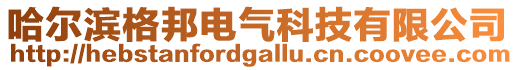 哈爾濱格邦電氣科技有限公司