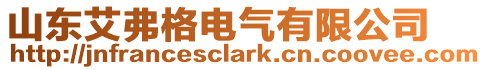 山東艾弗格電氣有限公司
