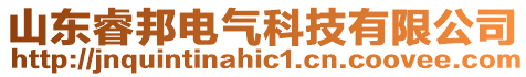 山東睿邦電氣科技有限公司