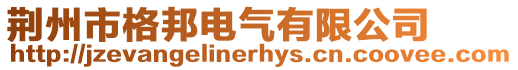 荊州市格邦電氣有限公司