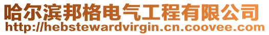 哈爾濱邦格電氣工程有限公司