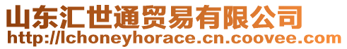 山東匯世通貿(mào)易有限公司