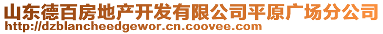 山東德百房地產(chǎn)開發(fā)有限公司平原廣場(chǎng)分公司