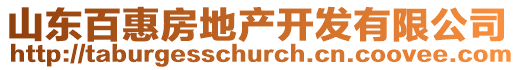 山東百惠房地產開發(fā)有限公司