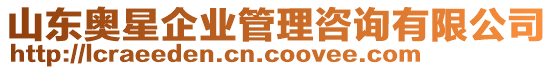 山東奧星企業(yè)管理咨詢有限公司