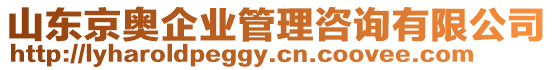 山東京奧企業(yè)管理咨詢有限公司