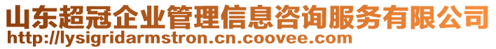 山東超冠企業(yè)管理信息咨詢服務(wù)有限公司