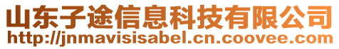 山東子途信息科技有限公司