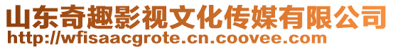 山東奇趣影視文化傳媒有限公司