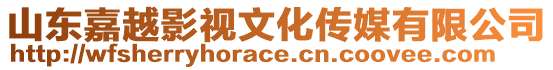山東嘉越影視文化傳媒有限公司