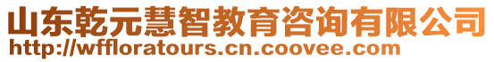 山東乾元慧智教育咨詢有限公司