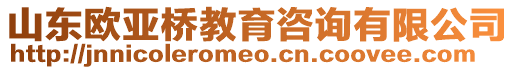 山東歐亞橋教育咨詢有限公司