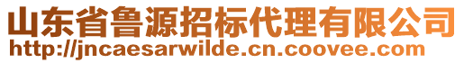 山東省魯源招標(biāo)代理有限公司