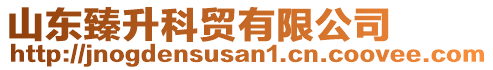 山東臻升科貿有限公司