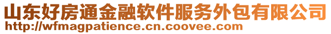 山東好房通金融軟件服務(wù)外包有限公司