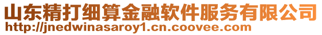 山東精打細算金融軟件服務有限公司