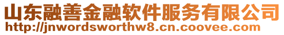 山東融善金融軟件服務(wù)有限公司