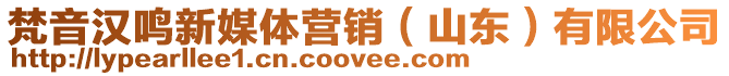 梵音漢鳴新媒體營銷(山東)有限公司