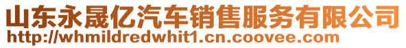 山東永晟億汽車銷售服務(wù)有限公司