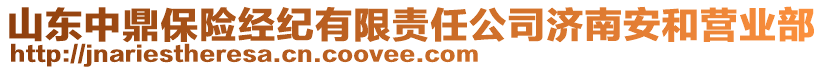 山東中鼎保險經(jīng)紀有限責任公司濟南安和營業(yè)部