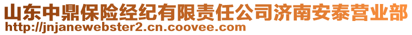 山東中鼎保險經(jīng)紀有限責任公司濟南安泰營業(yè)部