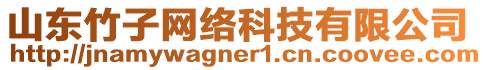 山東竹子網(wǎng)絡(luò)科技有限公司