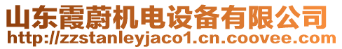 山東霞蔚機電設(shè)備有限公司