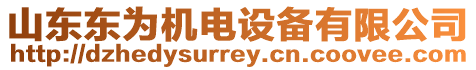 山東東為機(jī)電設(shè)備有限公司