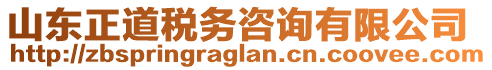 山東正道稅務(wù)咨詢有限公司