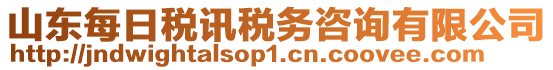 山東每日稅訊稅務(wù)咨詢有限公司