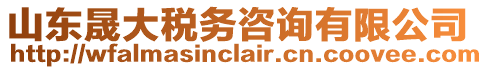 山東晟大稅務(wù)咨詢有限公司