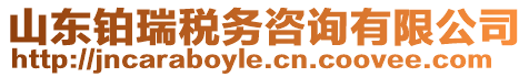 山東鉑瑞稅務咨詢有限公司