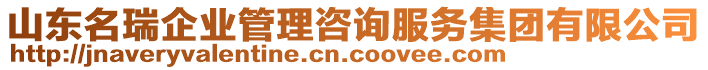 山東名瑞企業(yè)管理咨詢服務(wù)集團(tuán)有限公司