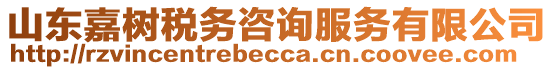 山东嘉树税务咨询服务有限公司