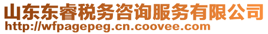 山東東睿稅務(wù)咨詢服務(wù)有限公司