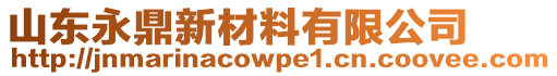 山東永鼎新材料有限公司