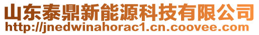 山東泰鼎新能源科技有限公司