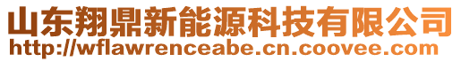 山東翔鼎新能源科技有限公司