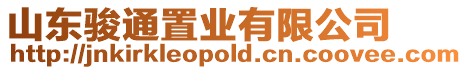 山東駿通置業(yè)有限公司