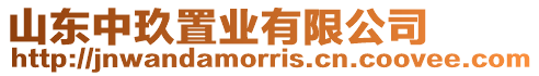 山東中玖置業(yè)有限公司