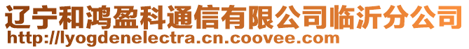 遼寧和鴻盈科通信有限公司臨沂分公司