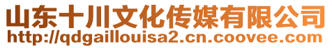 山東十川文化傳媒有限公司